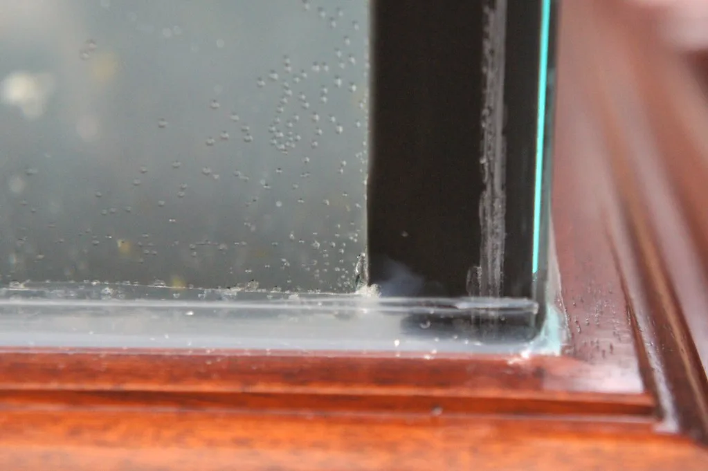 air bubbles in aquarium silicone